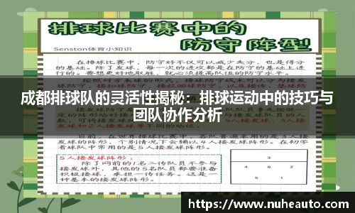 米乐YY易游