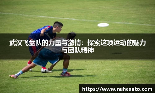 米乐YY易游