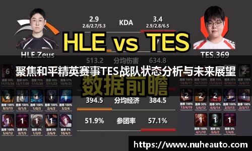 聚焦和平精英赛事TES战队状态分析与未来展望