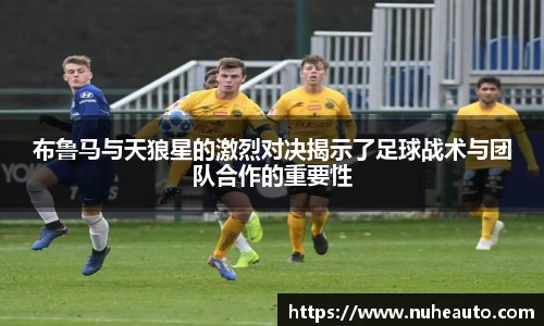 yy易游